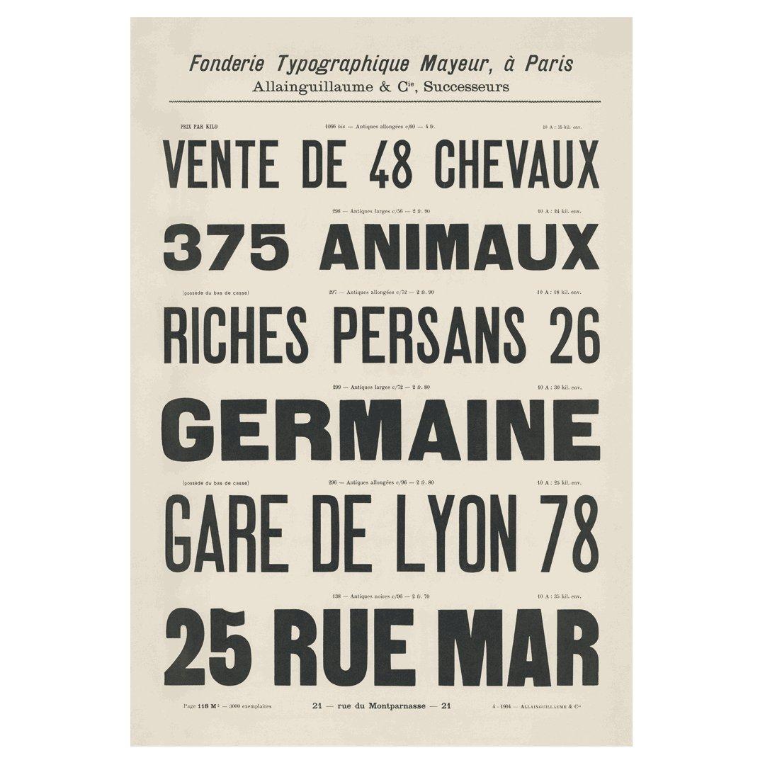 Postkartenset: Fifty Type Specimens